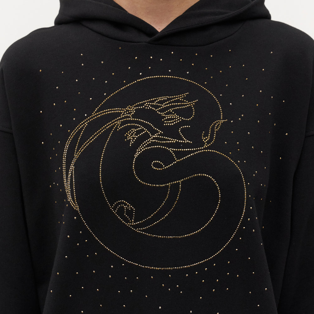 
                      
                        Hoodie "Dragon" Crystal
                      
                    